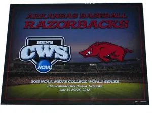 Arkansas Razorbacks Men's 2012 College World Series Grey Print 16 X 20