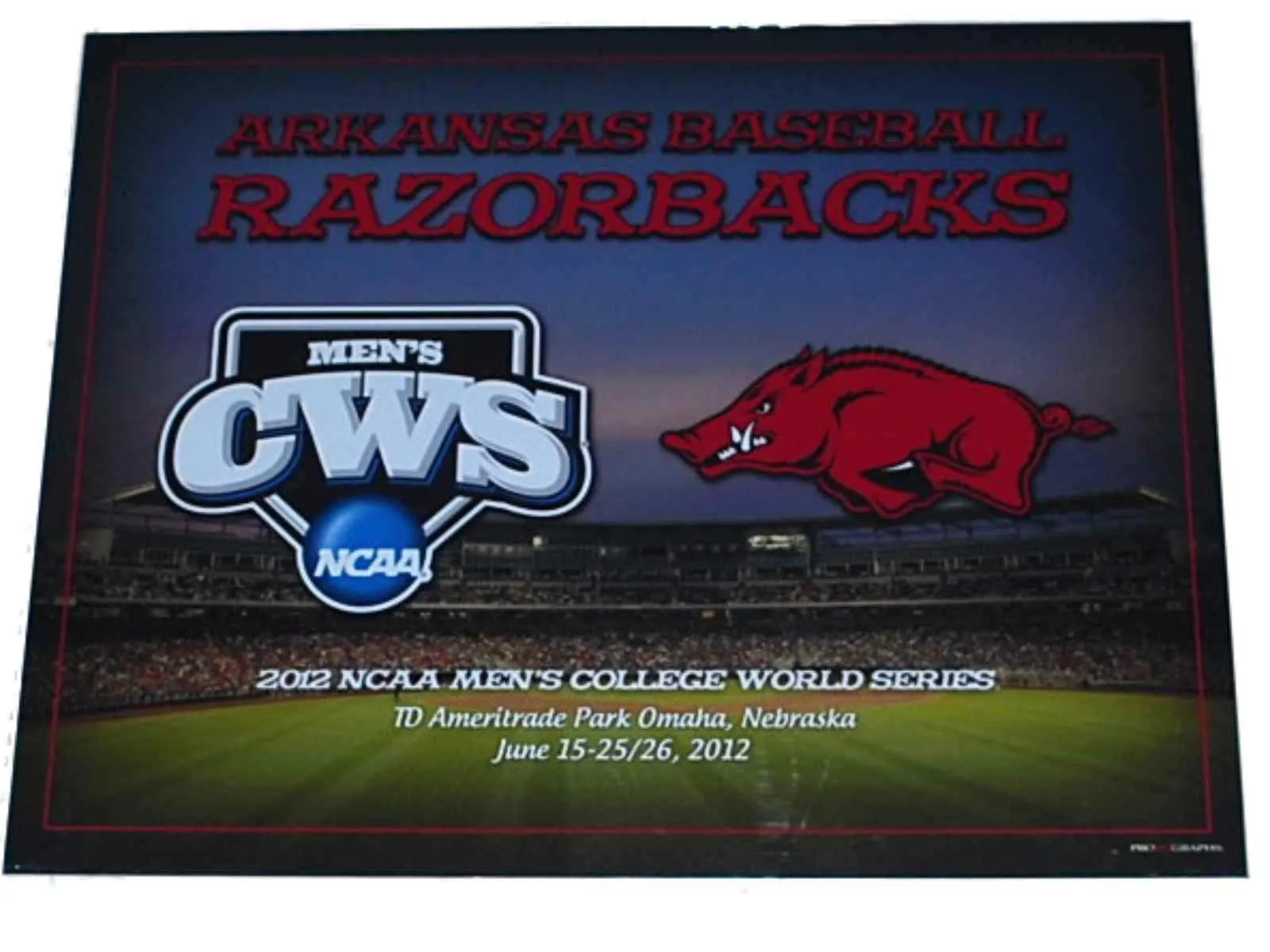 Arkansas Razorbacks Men's 2012 College World Series Grey Print 16 X 20