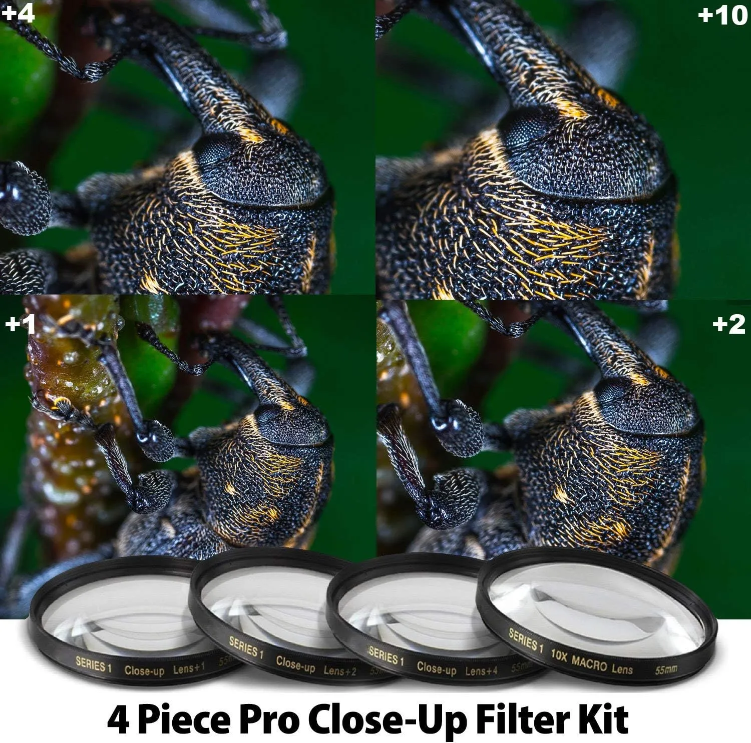 Nikon NIKKOR Z 70-200mm f/2.8 VR Lens (20091) Intl Model Bundle   64GB SD Card
