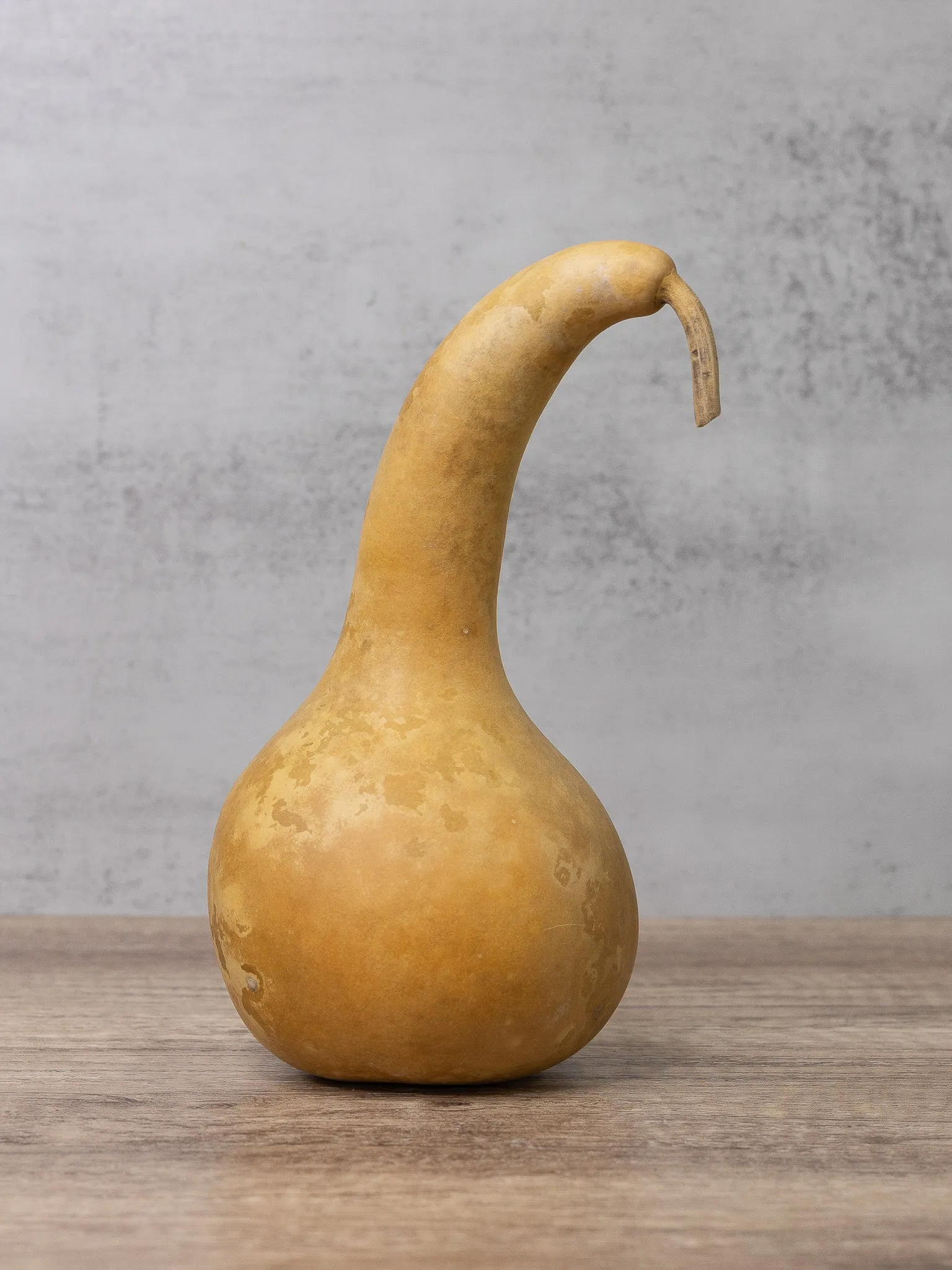Raw 4 Inch Dipper Gourd